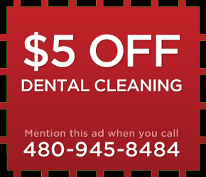 Queen Creek Dog teeth cleaning Special